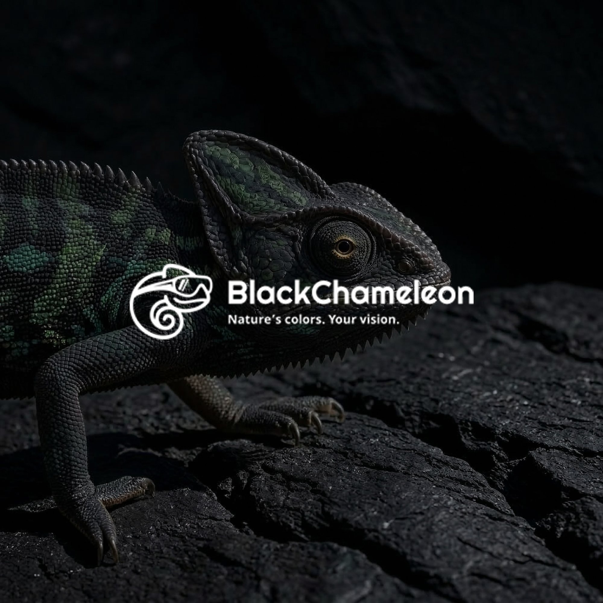 BLACK CHAMELEON